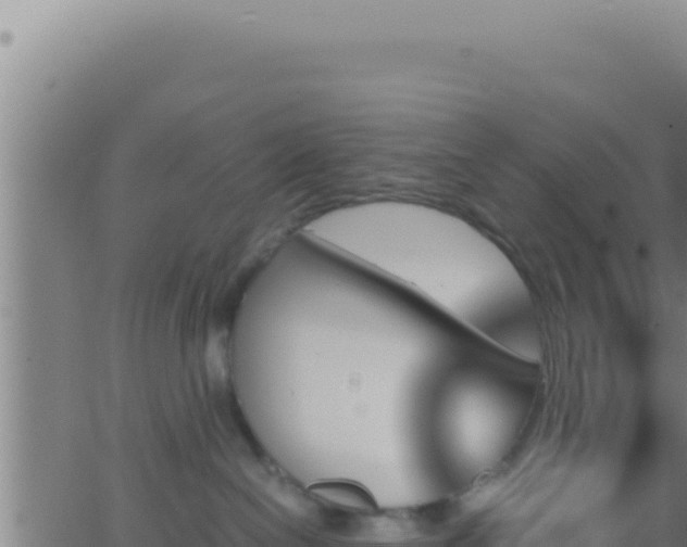 X0000062920286200601202009