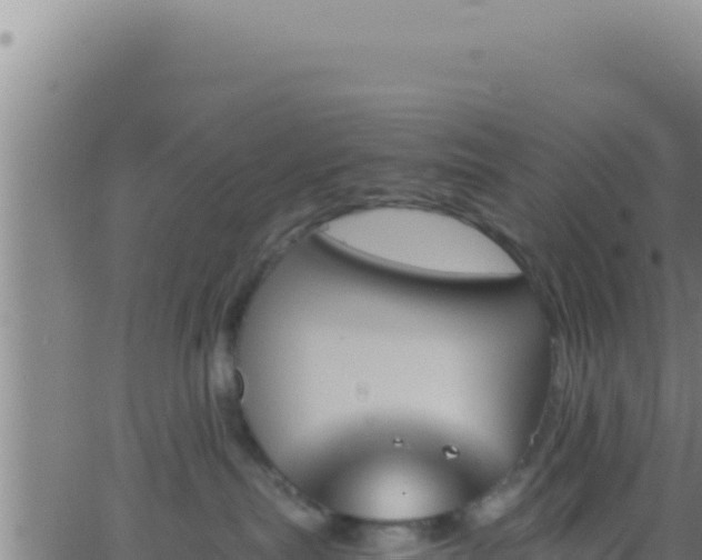 X0000062920287200601202009