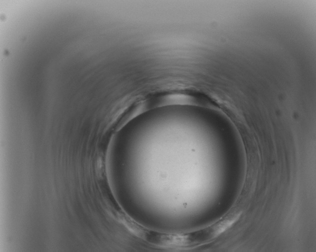 X0000062920288200601202009