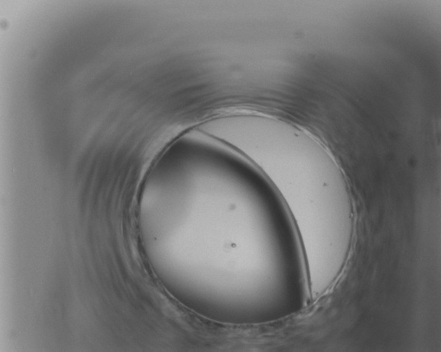 X0000062920289200601202008