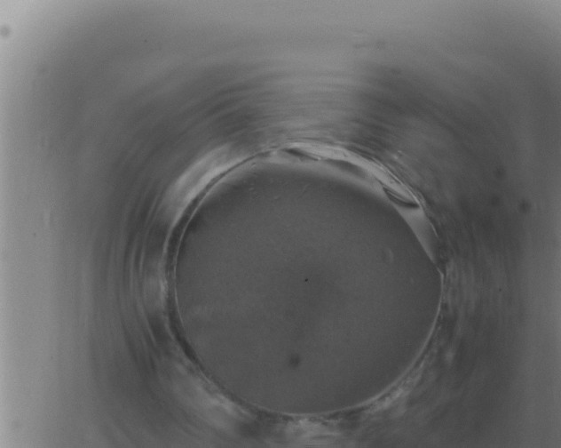 X0000062920290200601202008