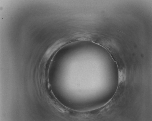 X0000062920291200601202008