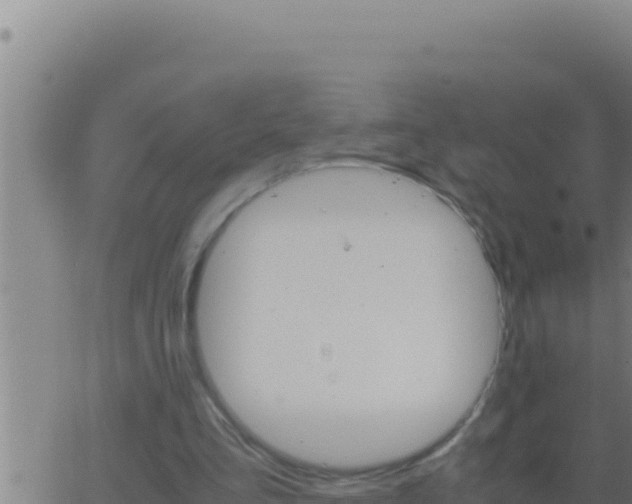 X0000062920293200601202008