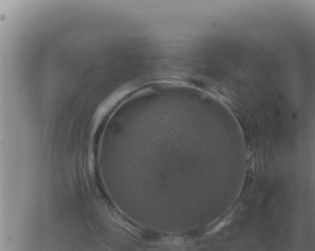 X0000062920294200601202008