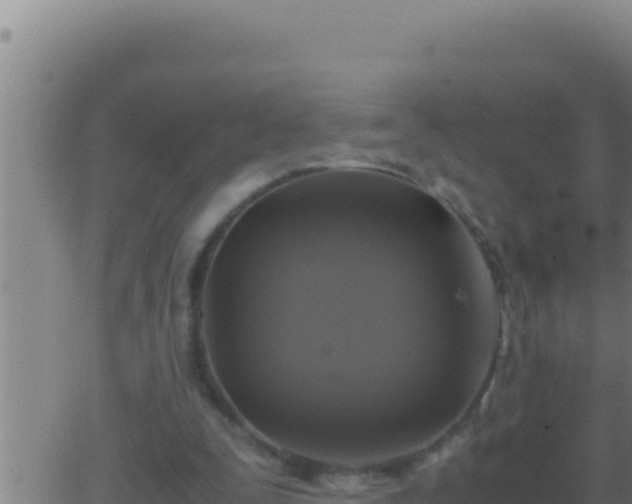 X0000062920295200601202008