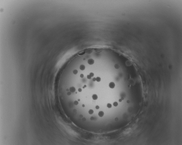 X0000062920296200601202008