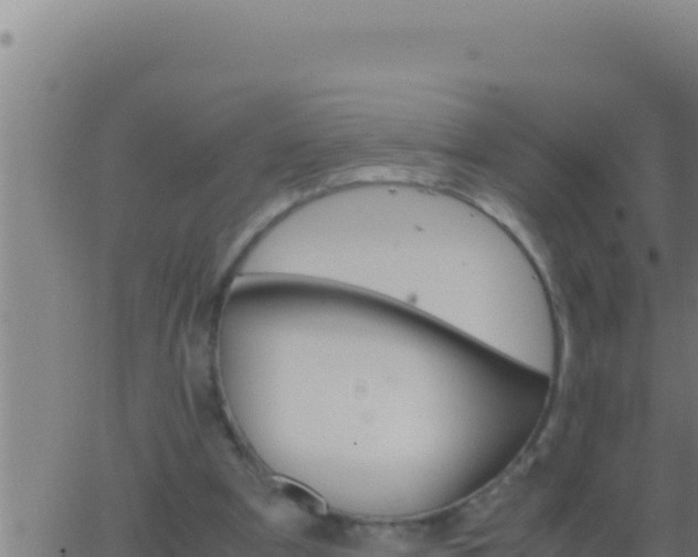 X0000062920297200601202008