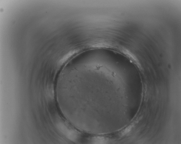 X0000062920298200601202008