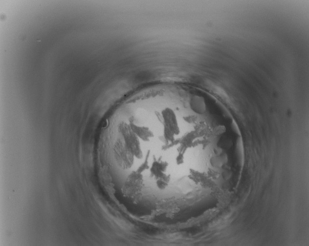 X0000062920299200601202008