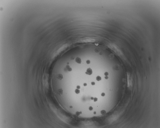 X0000062920300200601202008