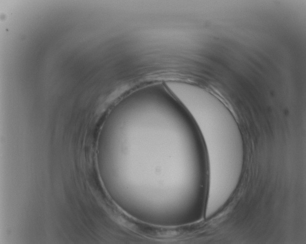 X0000062920301200601202008