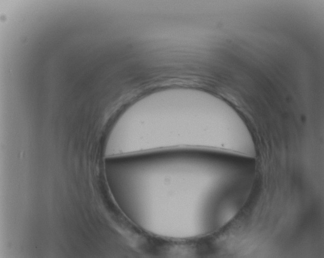 X0000062920303200601202008