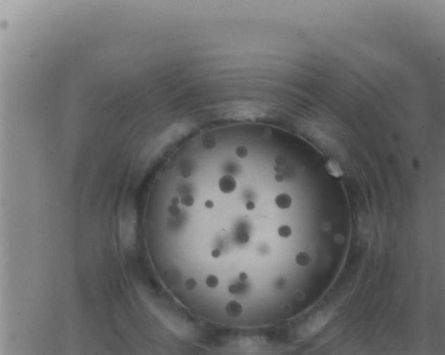 X0000062920304200601202008