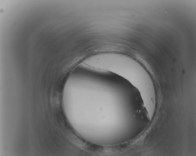 X0000062920305200601202008