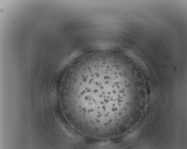 X0000062920306200601202008