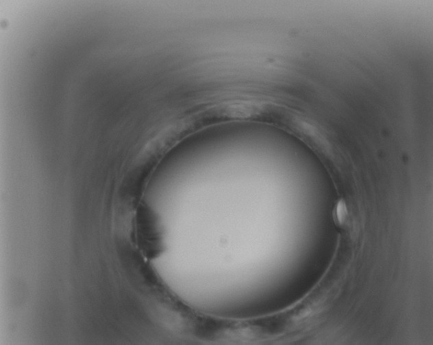 X0000062920307200601202008