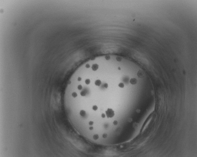 X0000062920308200601202008