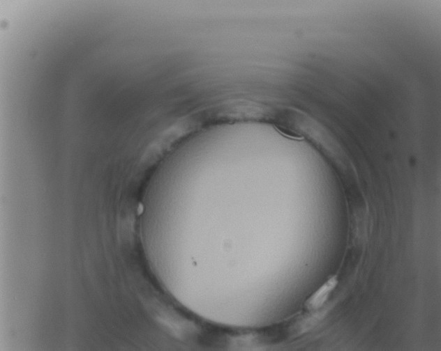 X0000062920309200601202008