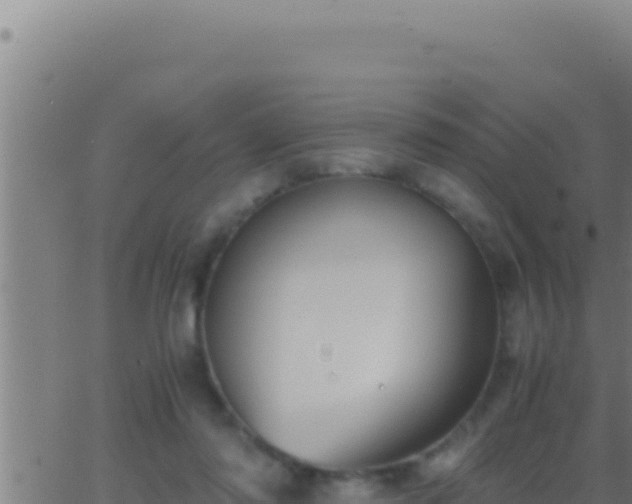 X0000062920310200601202008