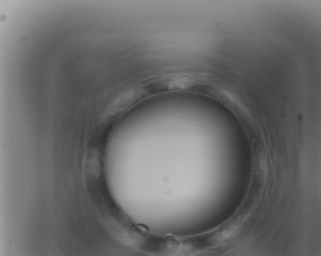 X0000062920311200601202008