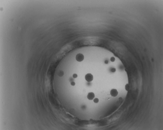 X0000062920312200601202008