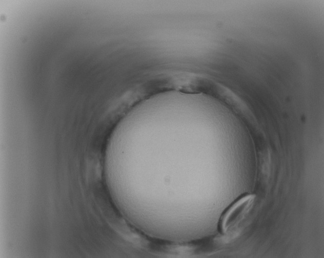 X0000062920313200601202008