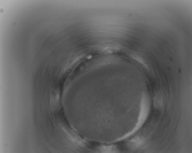 X0000062920314200601202008