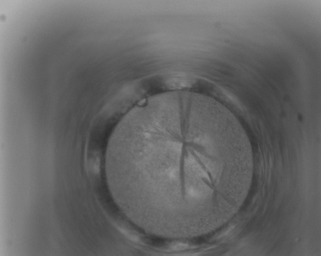 X0000062920315200601202008