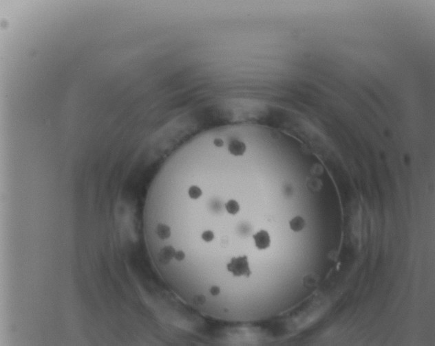 X0000062920316200601202008