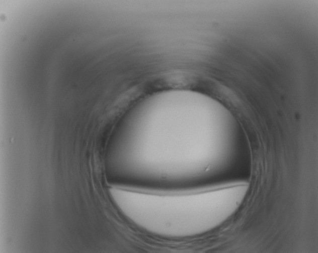 X0000062920317200601202008