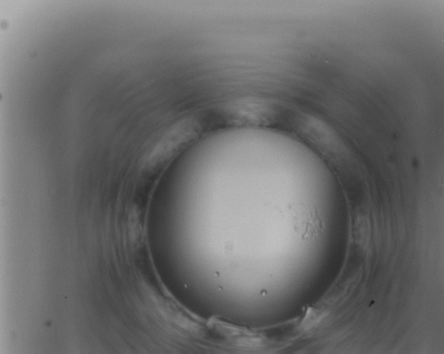 X0000062920318200601202008