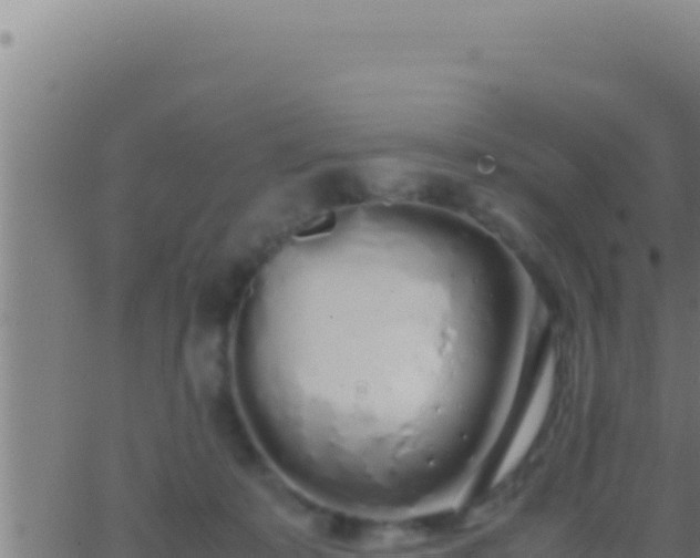 X0000062920319200601202008