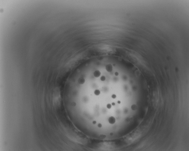 X0000062920320200601202008