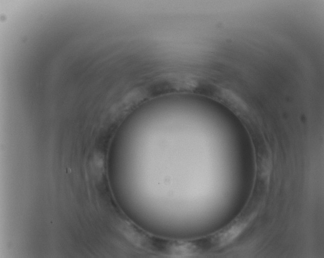 X0000062920321200601202008