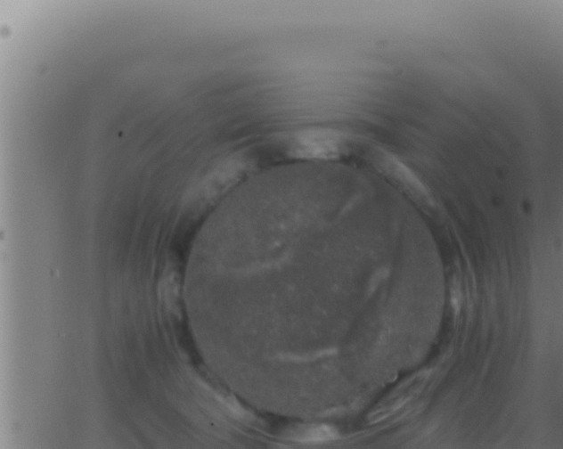 X0000062920322200601202008