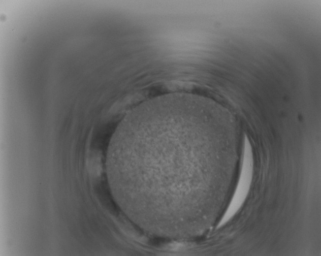 X0000062920323200601202008