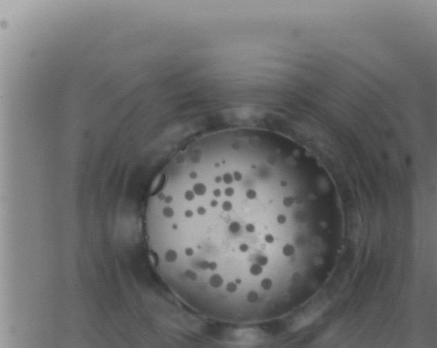 X0000062920324200601202008