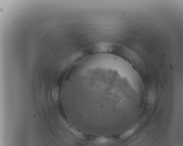 X0000062920326200601202008