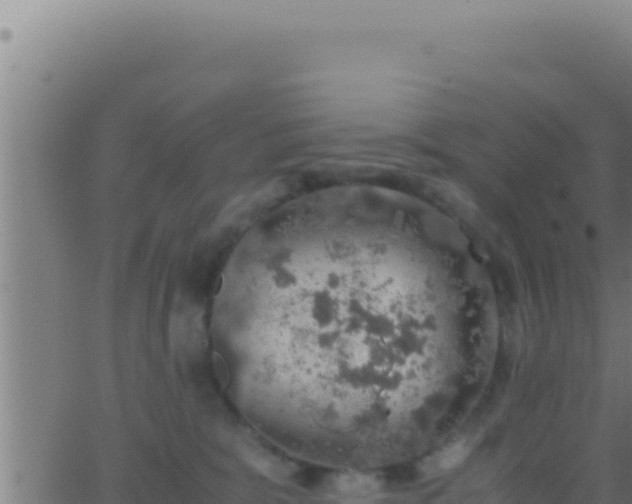 X0000062920327200601202008