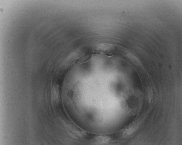 X0000062920328200601202008