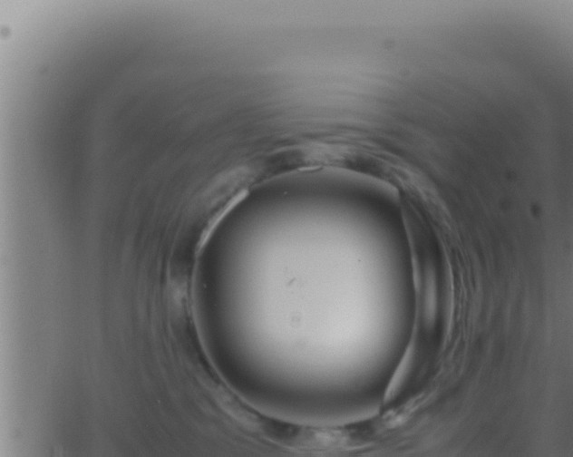 X0000062920329200601202008