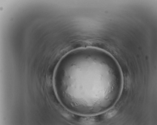 X0000062920331200601202008