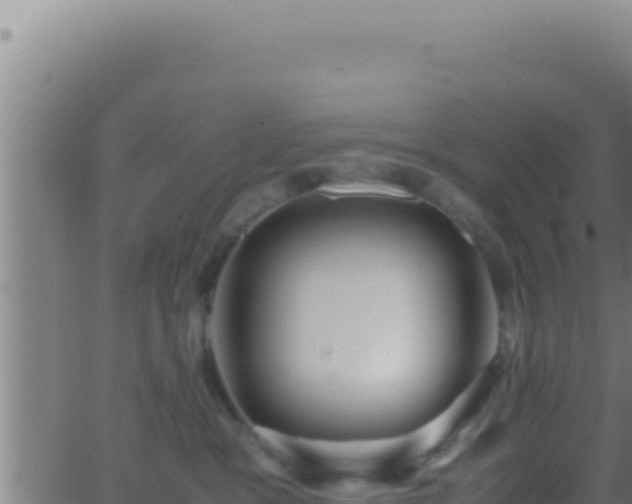 X0000062920333200601202008