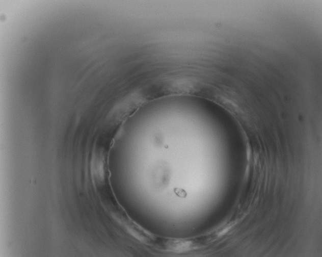 X0000062920334200601202008