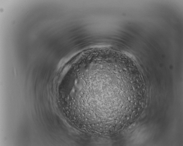 X0000062920337200601202007