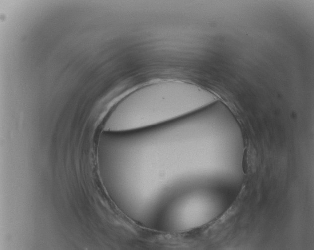 X0000062920338200601202007