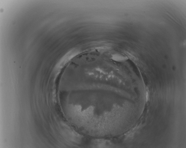 X0000062920339200601202007