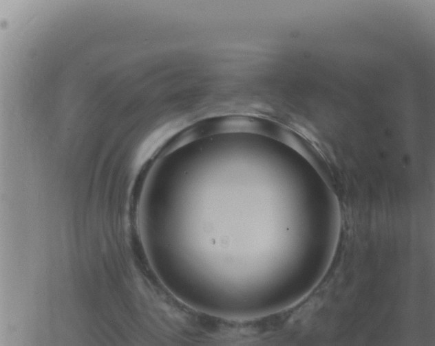 X0000062920340200601202007