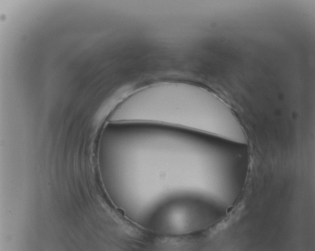 X0000062920341200601202007