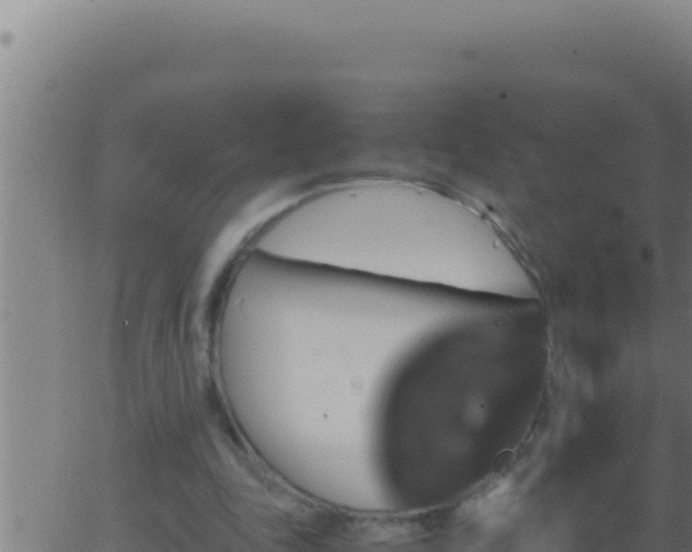 X0000062920343200601202007